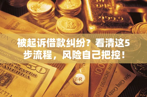 济南被起诉借款纠纷？看清这5步流程，风险自己把控！