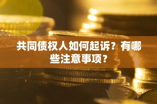济南共同债权人如何起诉？有哪些注意事项？